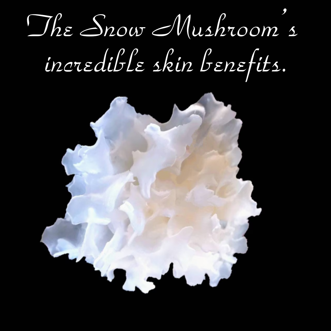 snow mushroom benefits in skincare, hydration and anti-aging